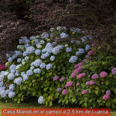 Гостьовий будинок Casa Manoli Luarca Almuna Екстер'єр фото